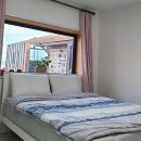 푸른정비서비스 | 맑고 푸른 섬, 우도에서 우리 댕댕이와 함께하는 완벽한 쉼표 만들기