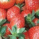 서율농장 이미지