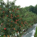 청풍농장 이미지