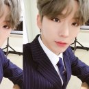 해피 댕 데이 이미지