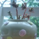 꿀단지PC 이미지