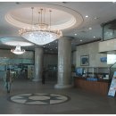 일동하와이 이미지