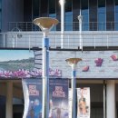 매직 프레젠트 이미지