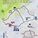 주읍리산수유꽃마을 | 2024년 산수유 개화시기 &amp; 만개시기 + 꽃구경 명소 4곳 (전남/경북/서울근교)