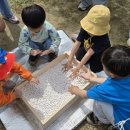 ㈜GR바이오 이미지