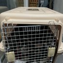 소망켄넬 이미지