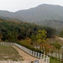 손영기목장 이미지