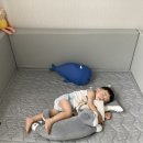 베이비리앙 이미지