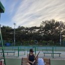 아펙스라인 | 여름 테니스 여성 운동복 윌슨 슬리브리스 비교 추천