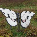 태평테니스장 이미지