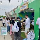 차앤박헤어 | 2025 올리브영 페스타 오전입장 꿀팁 스킨케어 헤어 부스 5시간 참여 후기