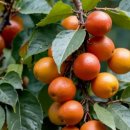 회화한의원 이미지