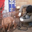 동학농장 이미지