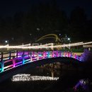 양재천 (연인의거리) 이미지