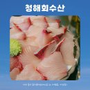 청해회수산 | [대구 맛집] 뚱뚱한 대방어회를 파는 대봉동 &#39;청해회수산&#39; 후기