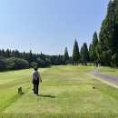 골프마루 티스토리