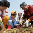 중랑천 제4체육공원 이미지