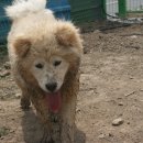 풍산농장 이미지