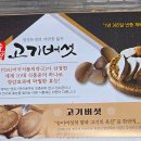 아이스365문경