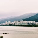 낙동강변4 이미지