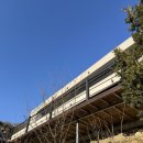 청도군-9 | 청도 퍼시몬9 ｜드라이브 코스로 좋은 키즈 놀이방이 있는 대형 카페 내돈내산 솔직후기