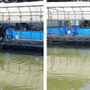 신천자연 낚시터 이미지