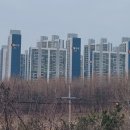 월례근린공원 이미지