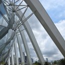 월드플라워 | 싱가포르 가든스바이더베이 쥬라기월드 후기::클라우드포레스트, 플라워돔 미리보기(사진많음주의)