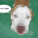 기룡정밀 Daum카페