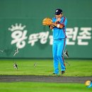 사직야구장 이미지