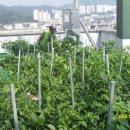 시흥1동주민센터 이미지