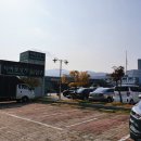 순천향화원 | 양재꽃시장 꽃다발 일요일 구매 후기(주차요금)