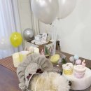 부산애견호텔 24시 강아지 유치원 미용 도그드림 서면점 이미지