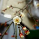 남풍 - 사천시 사주길 36 | 남풍