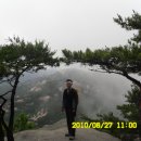 구곡민박 Daum카페