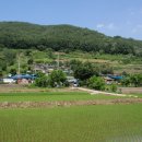 천락 Daum카페