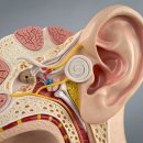 오르소한의원 이미지