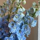 플로르 스토어 이미지