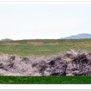 삼화목장 이미지