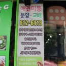 누렁이도 찰스로 이미지