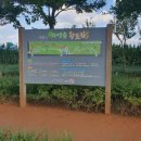 우로지 자연숲 황토길 | 비 온 뒤 맨발로 걷는 우로지 자연숲 황토길