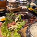 늘푸른정원 네이버블로그