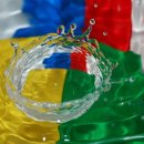 둔촌동물병원 이미지