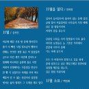 감성 테마 시조- 54- 11월- 김석인, 나순옥, 한희정, 백점례 이미지