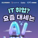 마이스정보사이트 - 가비아 국비지원 과정 시작! AI·클라우드 실무 인재 이미지