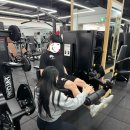 단풍나무짐 이미지