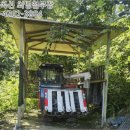 그늘막81 이미지