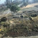 황금룡빅버거 | 제주도 여행. 겨울 드라이브 여행 ~ 배고픔을 달래는 제주의 빅 버거 ~황금룡