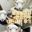 [홍콩여행🇭🇰] 홍콩빌리지 | 저렴하고 위치좋은 홍콩숙소 찾을땐 한인민박...? 🏡 내돈내산 솔직후기
