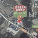 금산꽃차마을